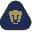 Pumas UNAM
