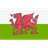 Wales U21