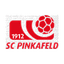 Pinkafeld
