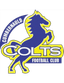 Cumbernauld Colts