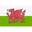 Wales W