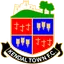 Kendal Town
