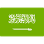 Saudi Arabia U20