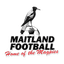 Maitland