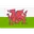 Wales U19 W
