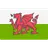 Wales U19 W