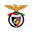 Penya Encarnada