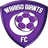 Wakiso Giants