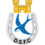 Dungannon Swifts U20