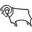 Derby County W