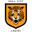 Hull City LFC W