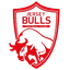 Jersey Bulls