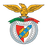 Arronches e Benfica