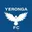 Yeronga Eagles