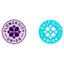 Flower City Union