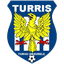 Dunarea Turris Turnu Magurele