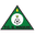 Onze Bravos