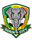 Surin