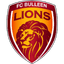 Bulleen Lions