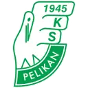 Pelikan Łowicz